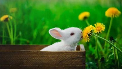 开云体育直播-国际沙滩足球邀请赛海口如期举行，国家沙滩足球